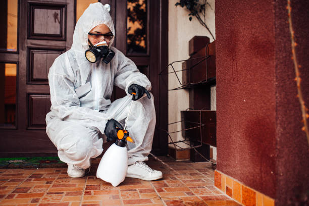 Reliable Ant Control contractor in El Lago, TX by Show Me Pest Control